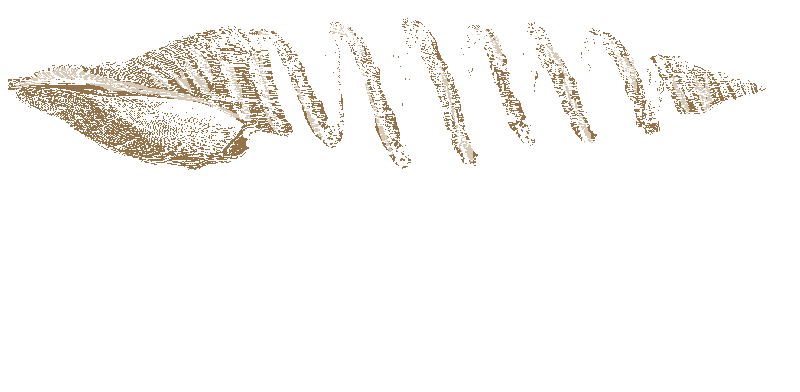 Project for Long Beach