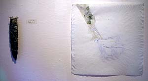 Tamiko Kawata, Amanda Guest